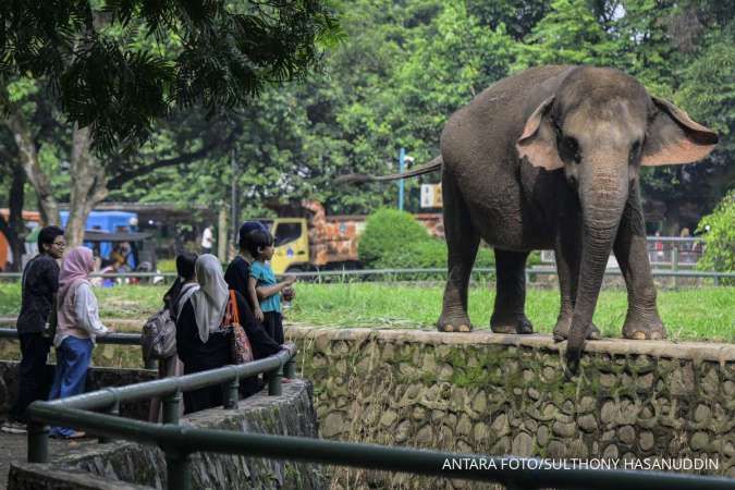 Ragunan Diserbu Pelancong Selama Libur Panjang Iduladha