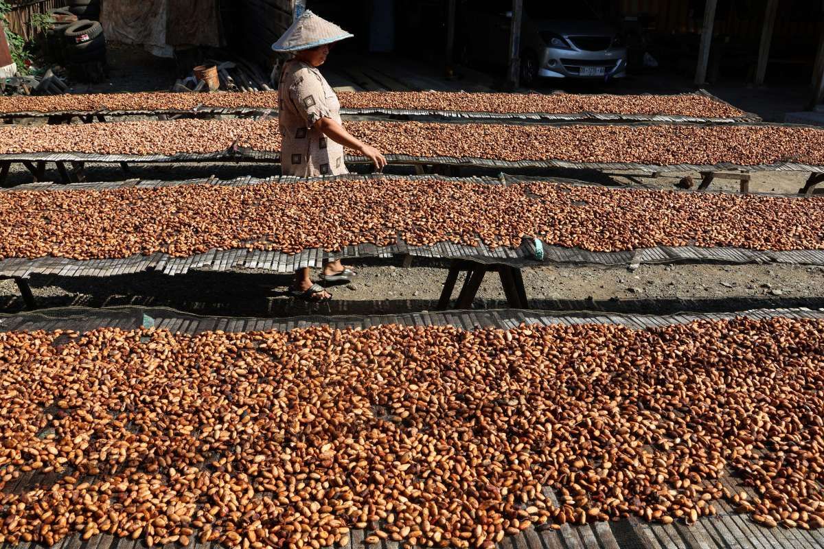 Kopi Brasil Terkapar, Kopi Indonesia Bersiap Menyambar