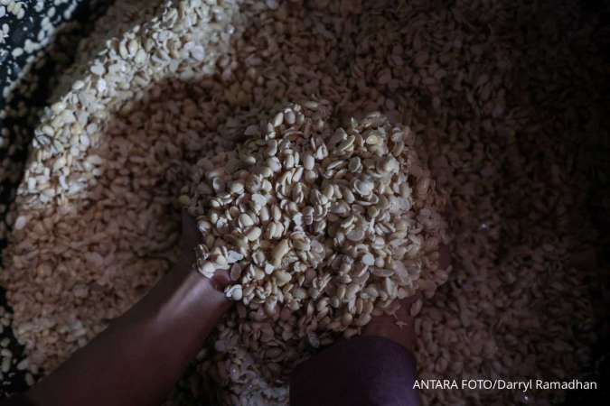 Indonesia's Rice Production Costs Far More Than in Asian Peers