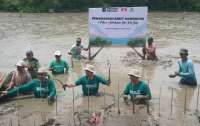 Dorong Pengembangan Ekowisata, IFG Tanam 5.000 Bibit Mangrove di Muara Beting