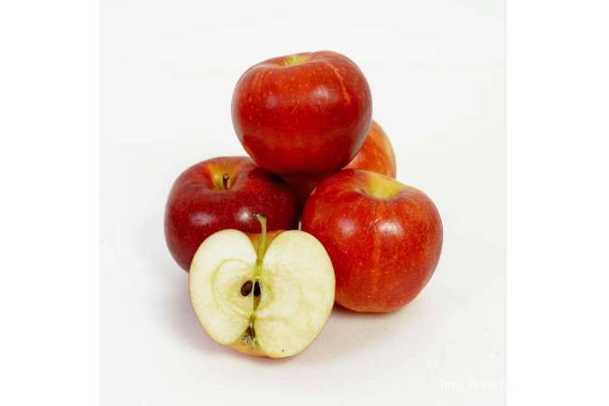 Kontan - Tony Prasetyo Seremonia Online