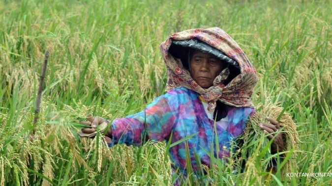 Nilai PDB kuartal IV turun 1,42% secara kuartal