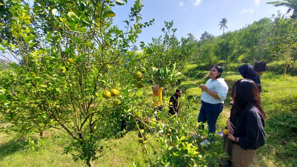 Jadwal Buka Puasa Malang Jumat (20/2): Cek Adzan Maghrib Hari Kedua Ramadan