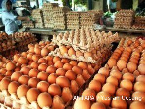 Pasokan aman, harga telur stabil Rp 14.000 per kg