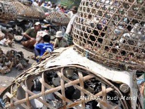 Flu burung mulai marak, pemerintah tingkatkan kewaspadaan