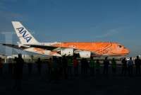 Jepang Lagi Kekurangan Jumlah Pilot