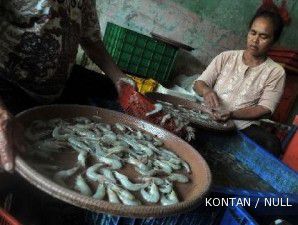 Pembudidaya bantah Indonesia kekurangan bahan baku udang