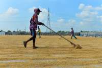 Inpres 6/2025 Terbit, Badan Pangan Nasional Bahas Usulan HPP Gabah Kering Giling