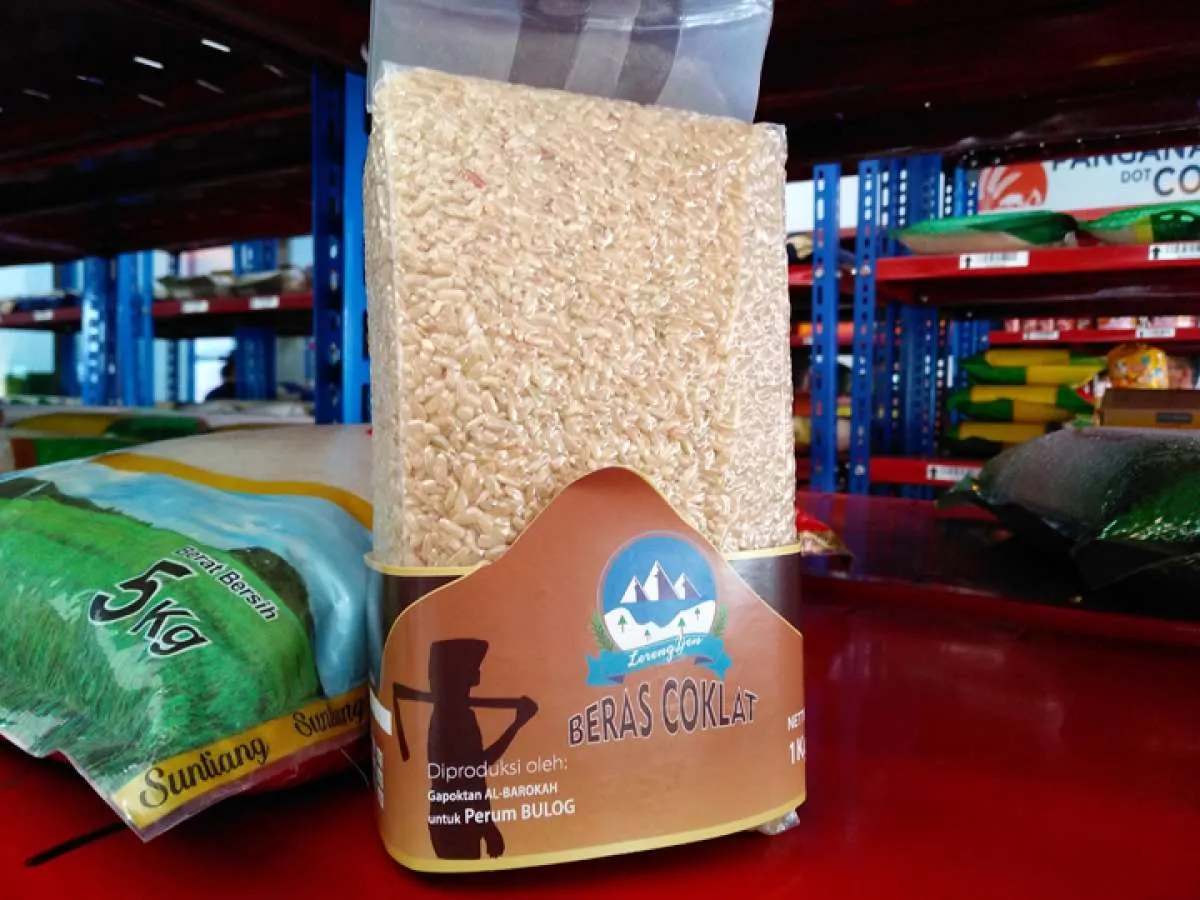 Stok awal tahun rendah, pengamat: Ketersediaan beras harus jadi perhatian