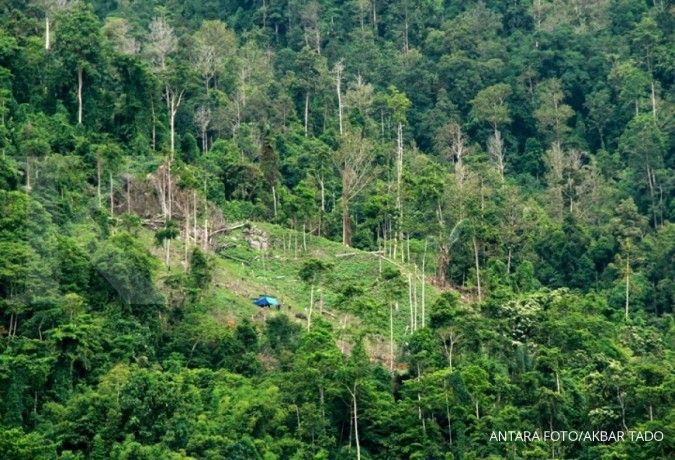 Rehabilitasi hutan dan lahan, KLHK targetkan penanaman seluas 48.875 hektar