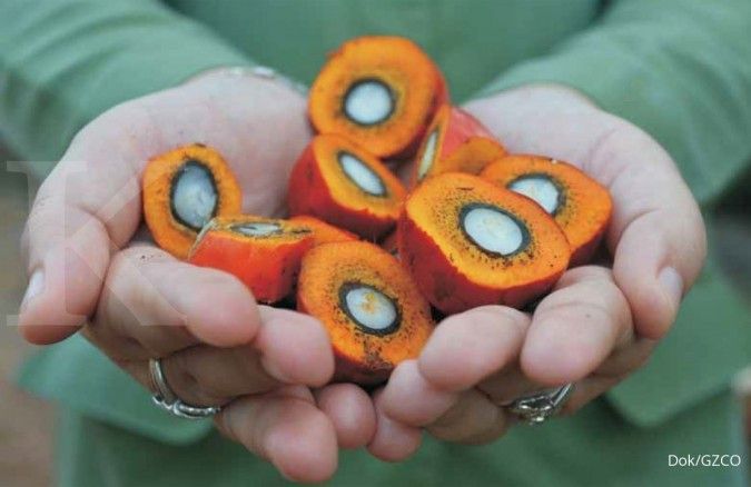 Gozco Plantations (GZCO) Angkat Bicara Soal Rumor Akuisisi oleh Happy Hapsoro
