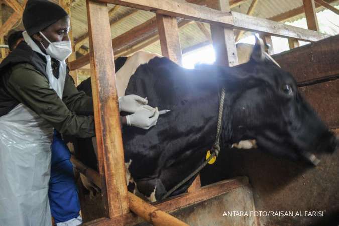 Indonesia to Buy 29 mln Foot and Mouth Disease Vaccine Doses as Outbreak Worsens
