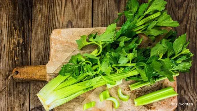 7 Manfaat Makan Seledri secara Rutin bagi Kesehatan Tubuh