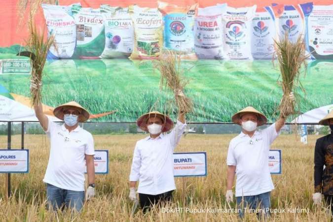 Tingkatkan Produktivitas Petani Sidrap Sulawesi Selatan Hingga 37 Pupuk Kaltim Pertanian Indonesia Timur Punya Pote