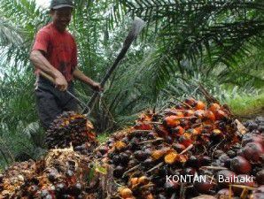 Minyak kedelai mahal, harga CPO ikut terdongkrak 0,4%