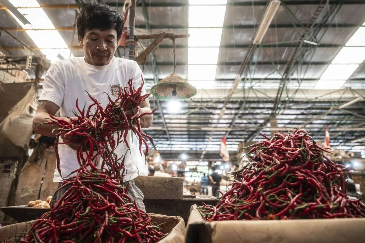 Harga Cabai Anjlok Jadi Rp 35.000 Per Kilogram, Kemendag Angkat Bicara