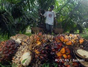 Importir genjot pembelian, CPO melesat untuk pertama kali dalam empat hari