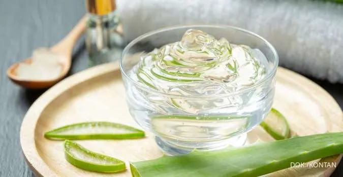 10 Manfaat Aloe Vera Gel untuk Kulit, Bantu Lembapkan Kulit