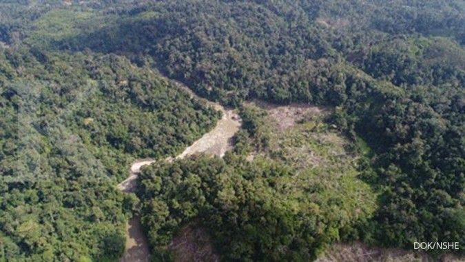 Pembangunan PLTA Batang Toru: Dampaknya pada Konservasi dan Ekosistem Alam