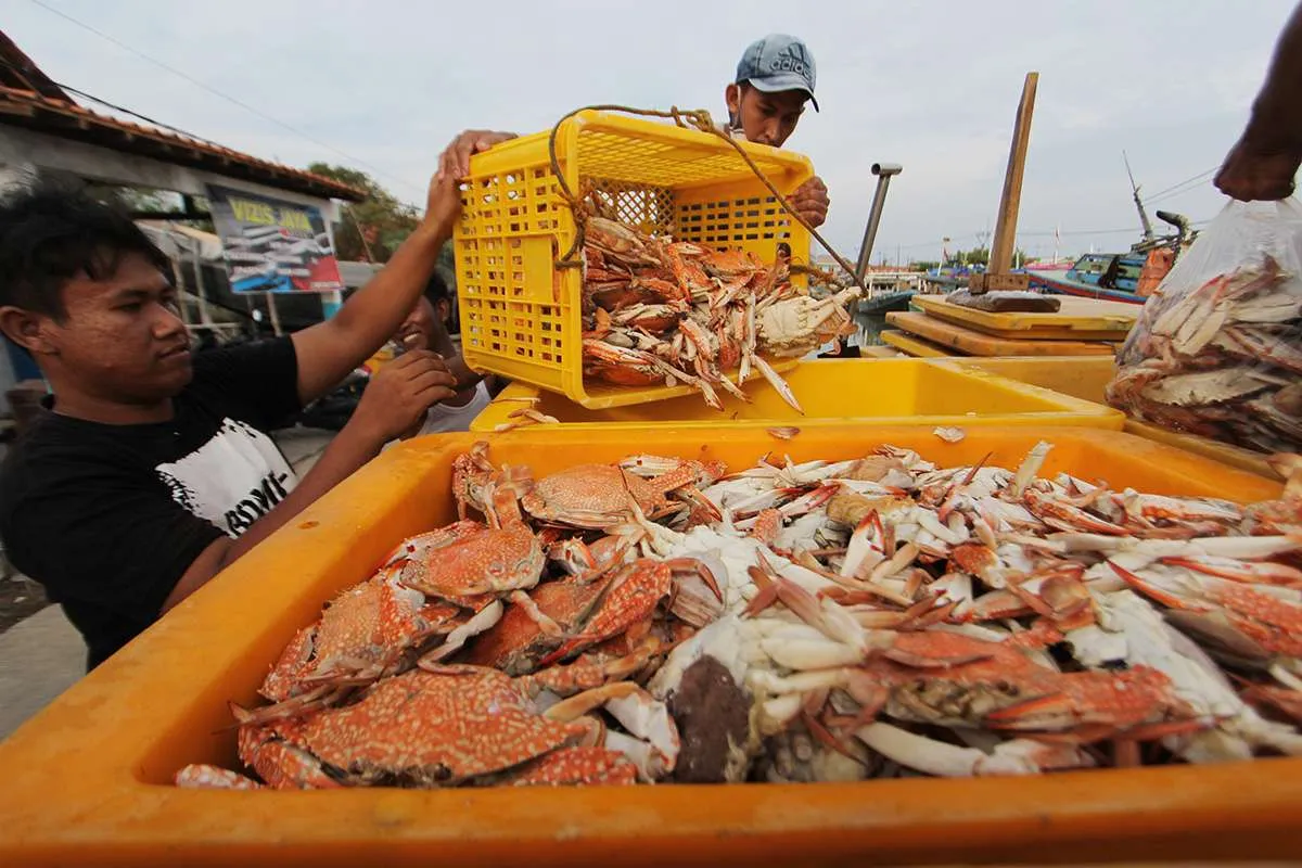 Indonesia negara maritim, tapi saham emiten perikanan tidak atraktif