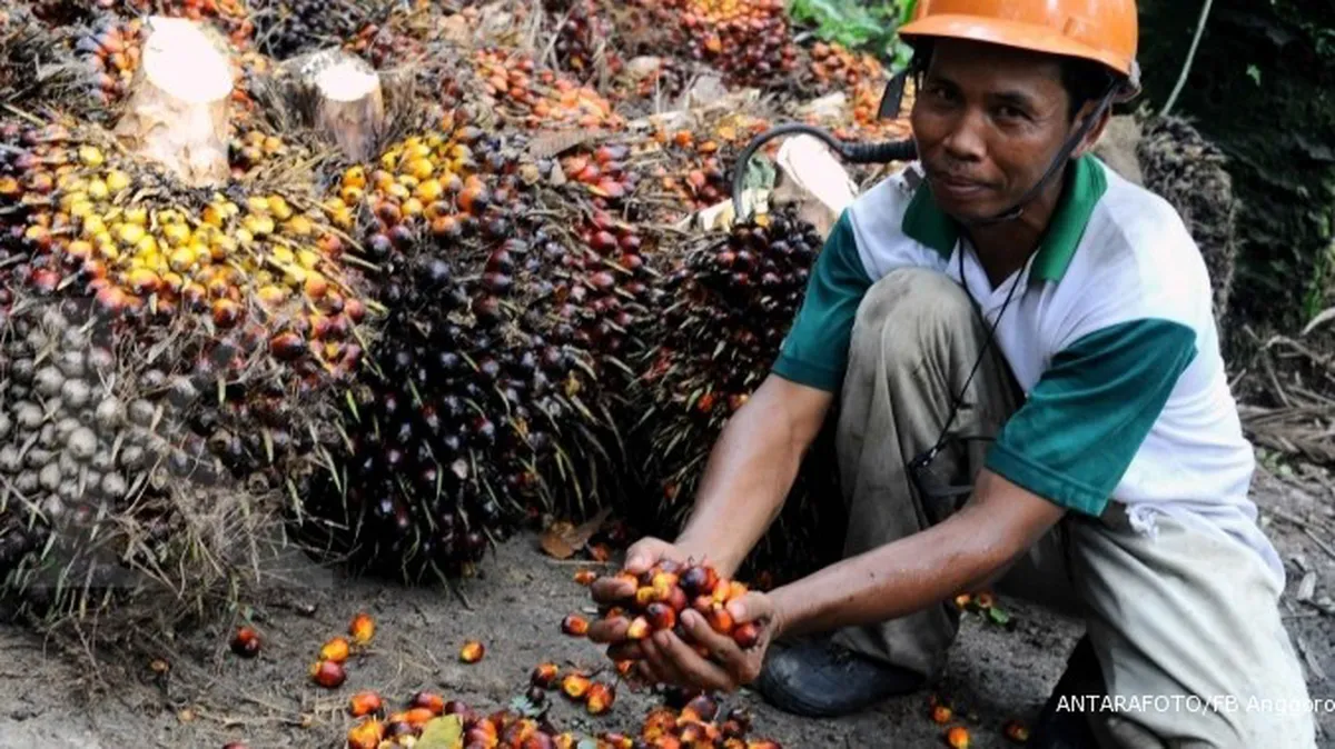 Mengemplang pajak, Asian Agri didenda Rp 1,259 T