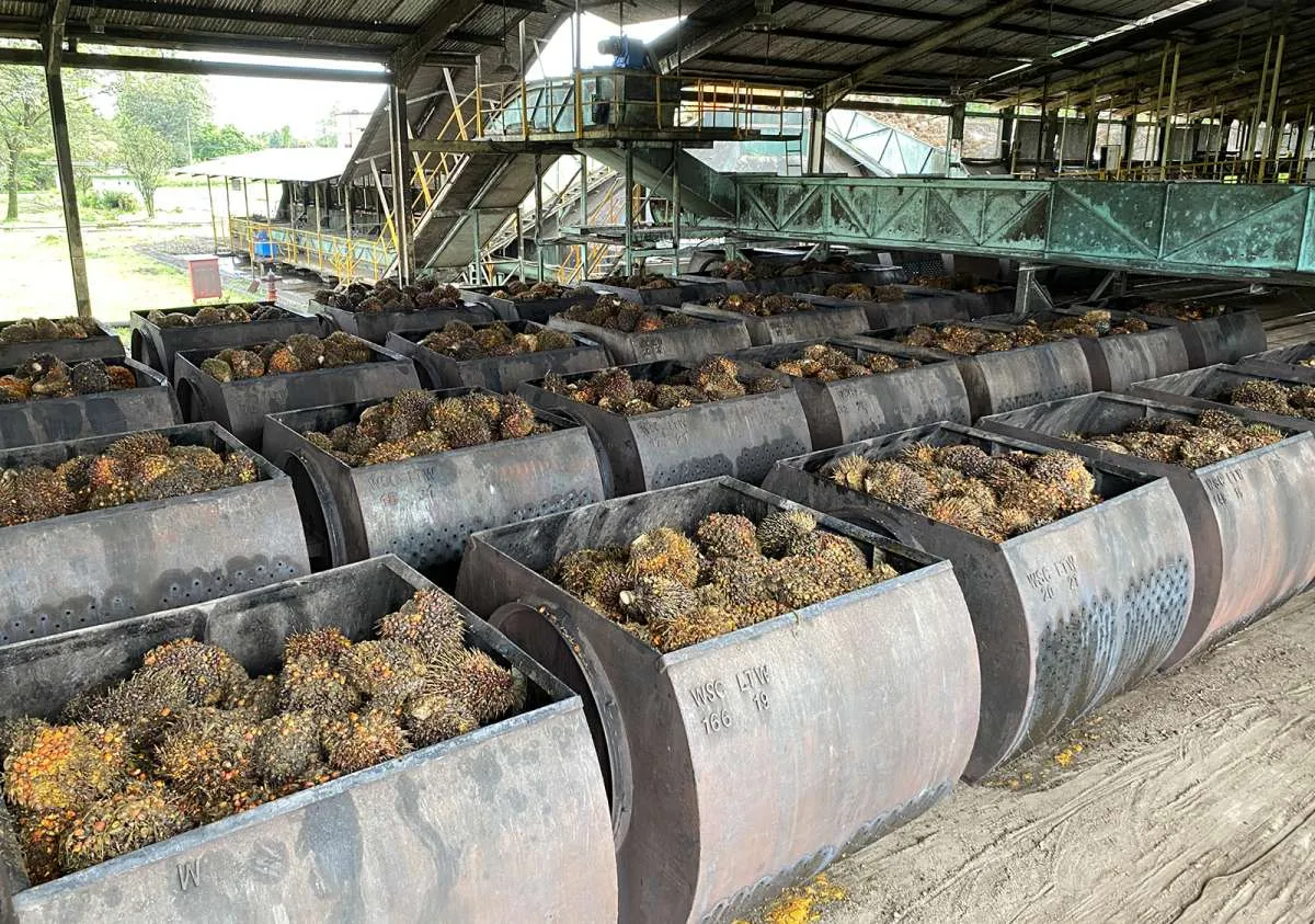 Produksi CPO dan TBS Astra Agro Lestari (AALI) Ditargetkan Naik 5% di 2024