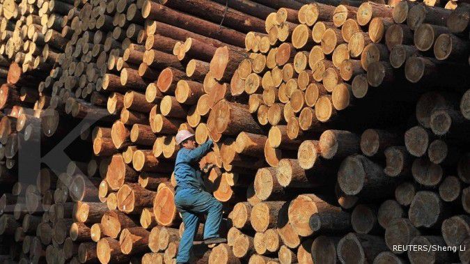 Pembeli produk kayu Eropa wait and see