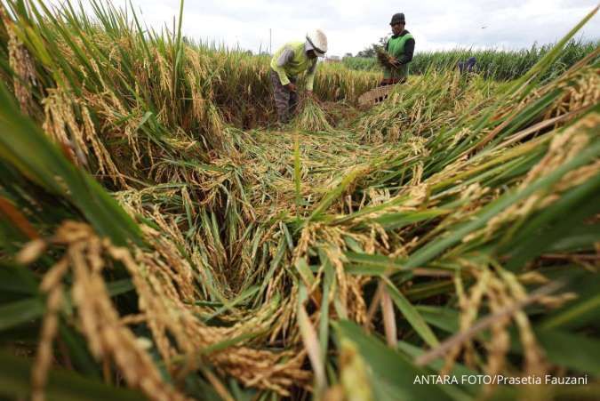 Ada Konflik AS-Iran, Prabowo Serukan Kemandirian Pangan dan Energi Energi