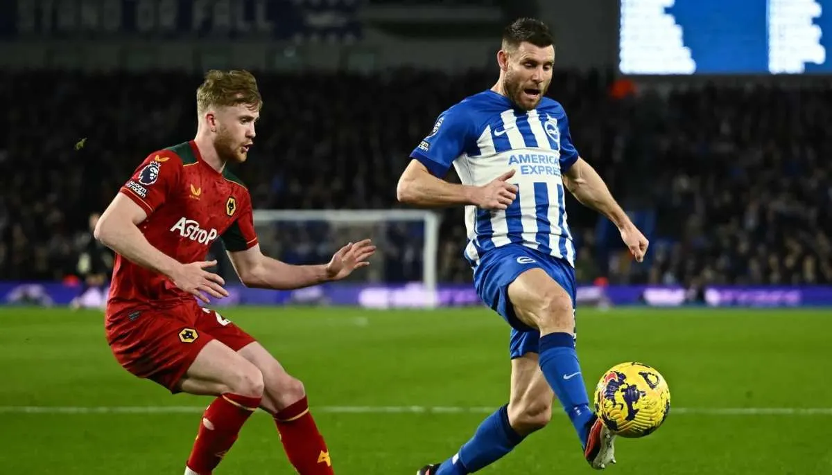 Link Live Streaming Fulham vs Brighton di Liga Inggris 2024-2025 Pekan 14
