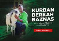 Harga Kambing & Sapi Kurban Online di BAZNAS 2025, Hewan Kurban Termurah Rp 3 Juta