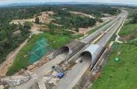 Waskita Karya (WSKT) Bangun Jembatan untuk Satwa di IKN Sepanjang 81,6 Meter