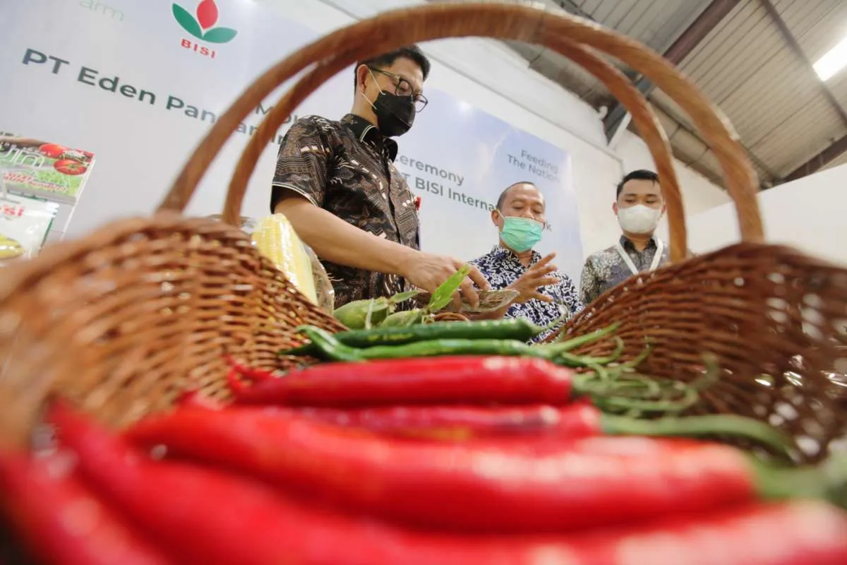 Wow, laba bersih Bisi International (BISI) melonjak 226% di kuaratl I-2021