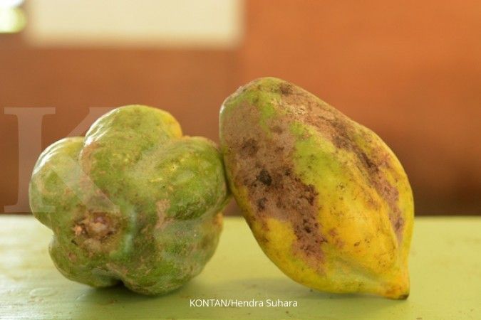 5 Manfaat Buah Carica untuk Kulit, Cegah Penuaan Dini