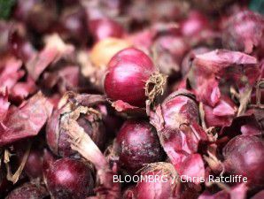 Impor masuk, asosiasi bawang mengadu ke DPR