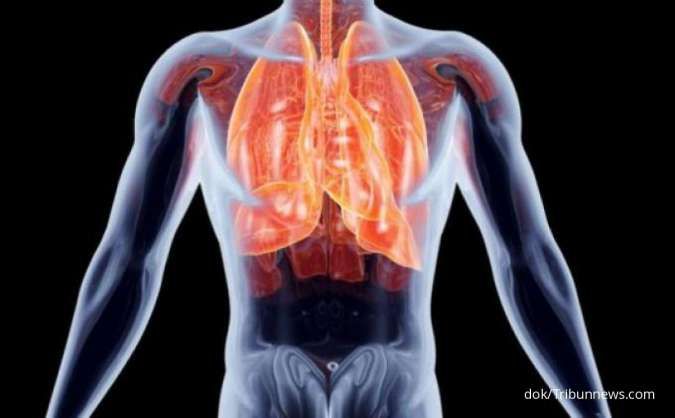 Paru-paru Kotor, Ini 8 Cara Alami Membersihkannya