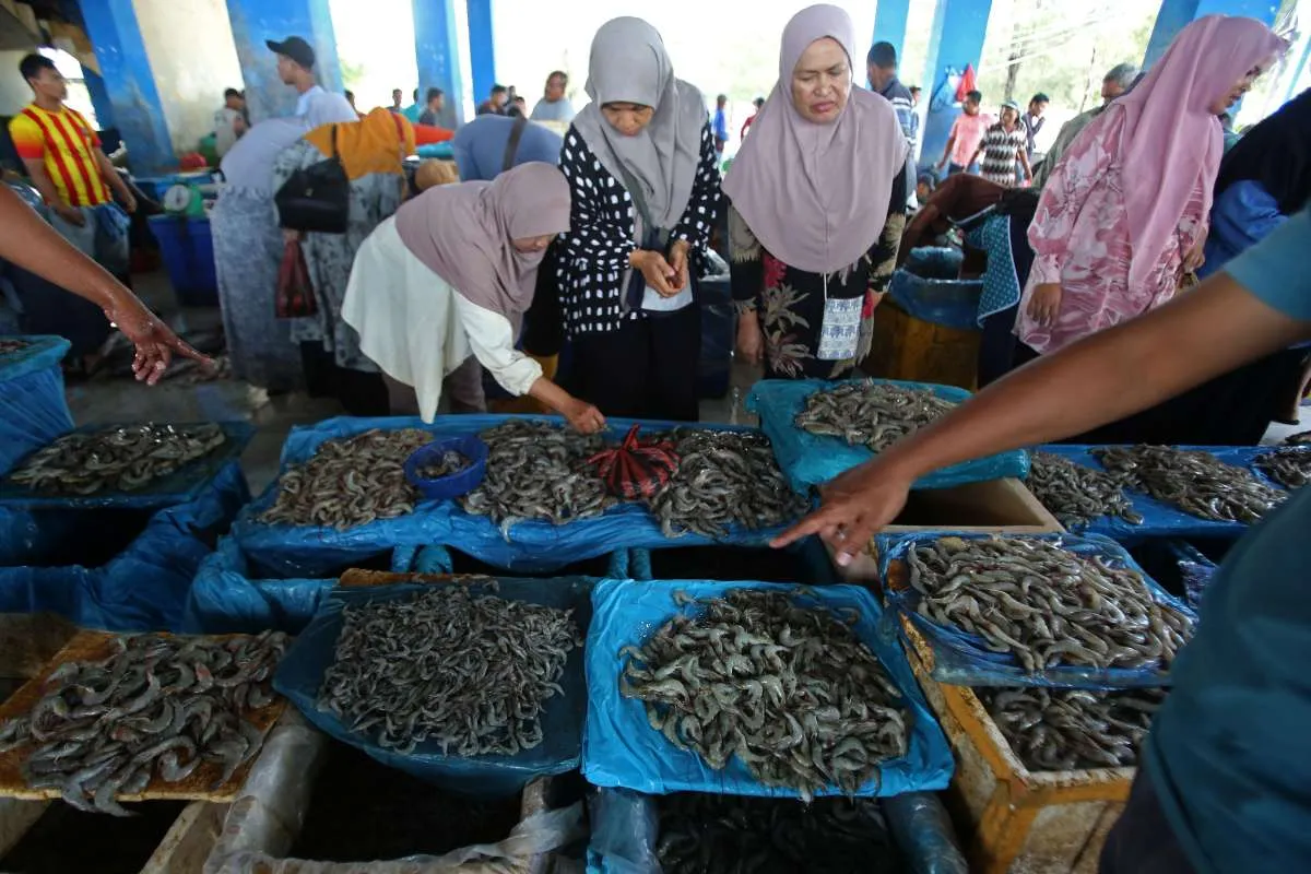 Sertifikasi Impor AS Jadi Ujian Baru bagi Ekspor Udang Indonesia