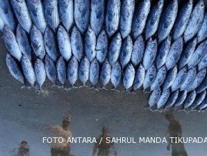 Musim dingin Jepang melambungkan harga ikan tuna