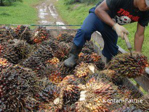 Harga CPO Melesat, Saham Produsennya Makin Menarik 