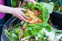 Tekan Food Waste, Bapanas Dorong Pemda Perluas Kolaborasi Selamatkan Pangan