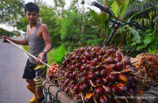 Pengembangan Biofuel Terkendala Bahan Baku dan Harga, Begini Altenatif Solusinya