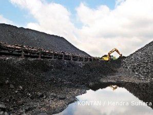 PTBA targetkan finalisasi pendanaan BATR bisa diputuskan April 2012