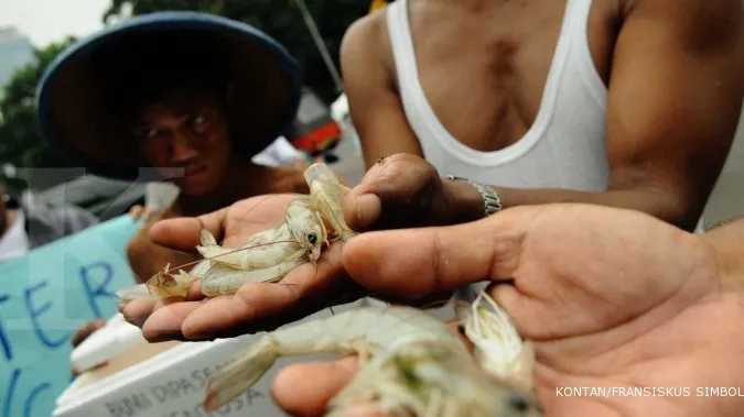 Govt claims no subsidy for shrimp industry