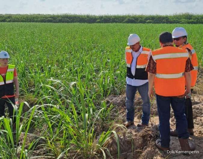 Indonesia Berhasil Membangun Industri Gula Terintegrasi di Lahan Rawa