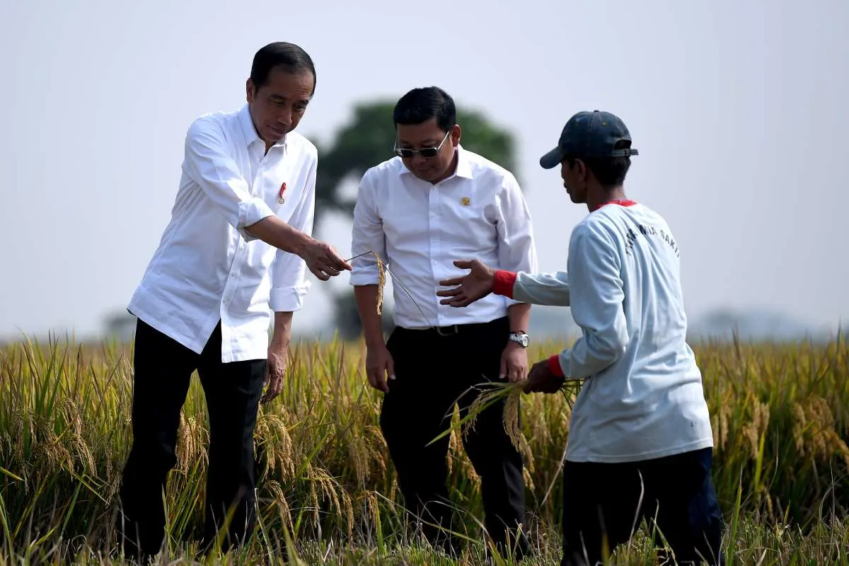 Jokowi: Dibutuhkan Penambahan Stok Cadangan Beras Nasional Hingga 1,5 Juta Ton