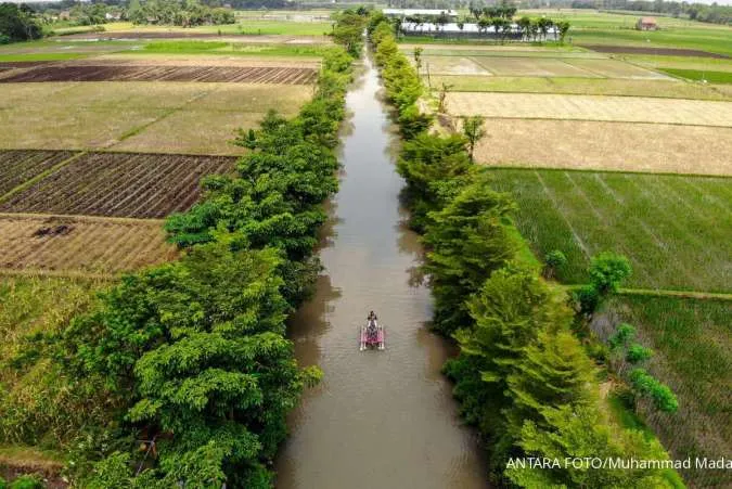 Indonesia Targets Up to 1 Million Hectares of New Rice Fields in 2025