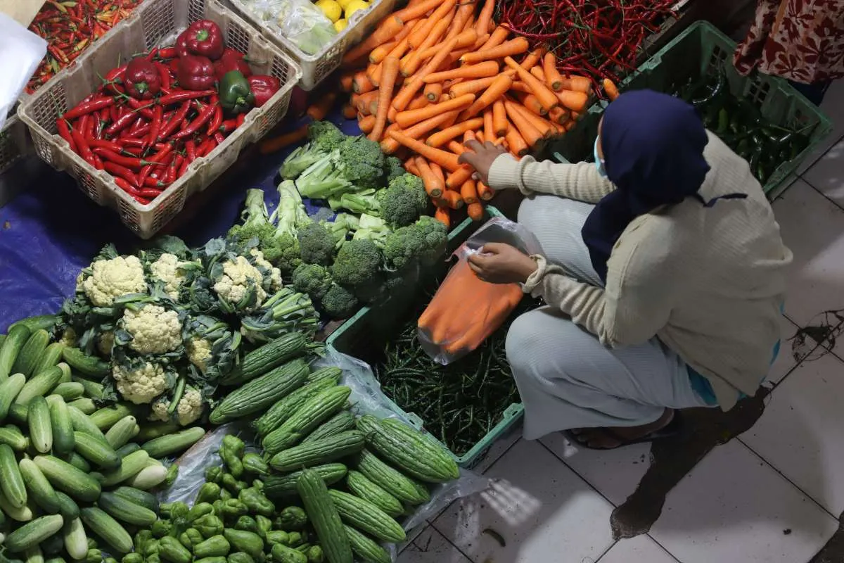 Bank Danamon Proyeksi Inflasi Desember 2024 Capai 0,33%, Ini Penyebabnya