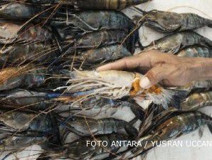 Per kuartal III-2011, nilai impor ikan dan udang naik 46,65%