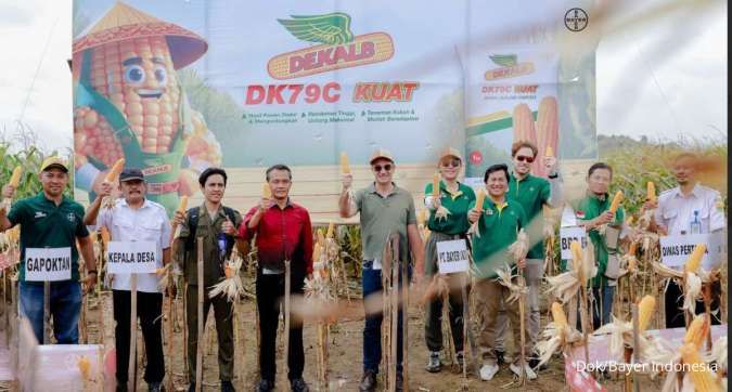 Bayer Dorong Produktivitas Jagung di Jawa Tengah