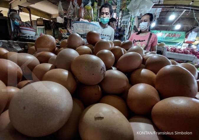 Kapan Harga Telur Ayam Bakal Turun? Ini Prediksi Presiden Jokowi