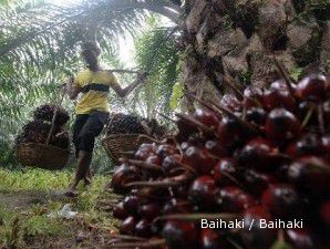 Harga CPO tergerus seiring melorotnya harga kedelai dunia